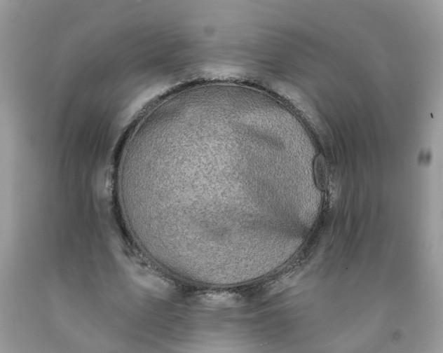 X0000091690583200709061127