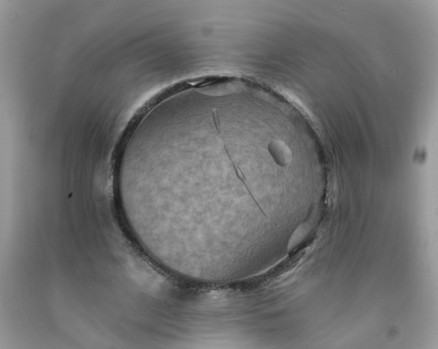 X0000091690584200709061127