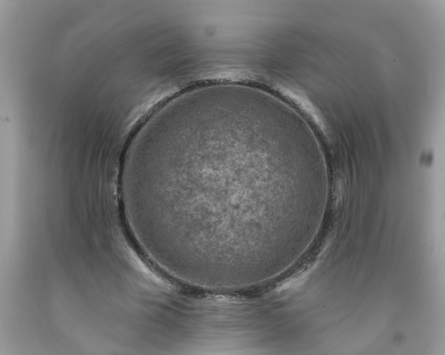 X0000091690585200709061127