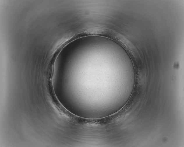 X0000091690586200709061127