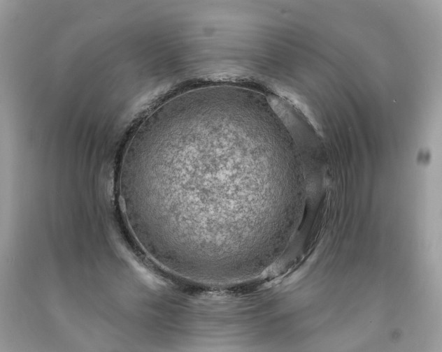 X0000091690589200709061127