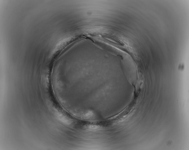 X0000091690590200709061127