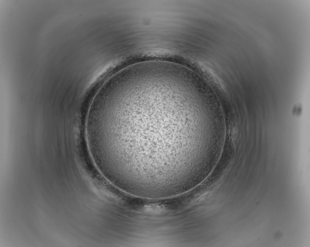 X0000091690591200709061127