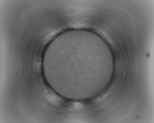 X0000091690592200709061127