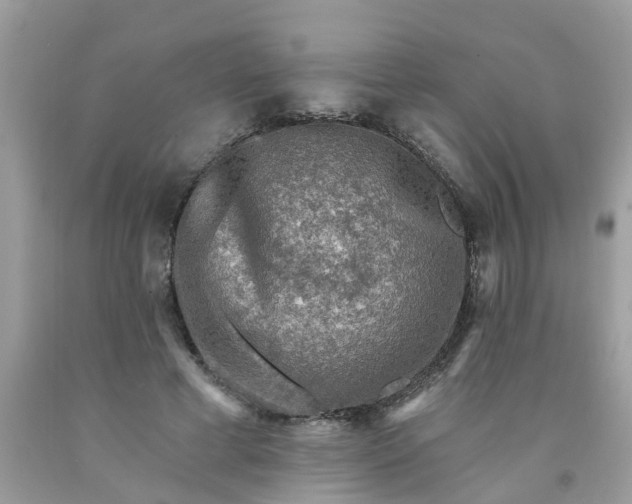 X0000091690593200709061127