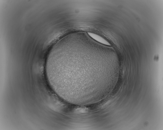 X0000091690595200709061127