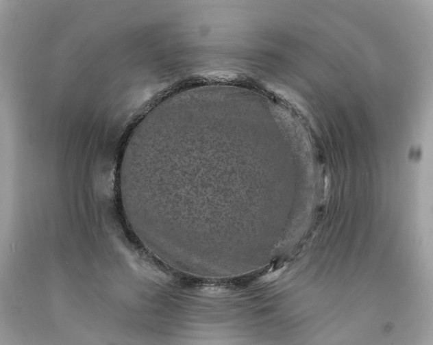 X0000091690596200709061127