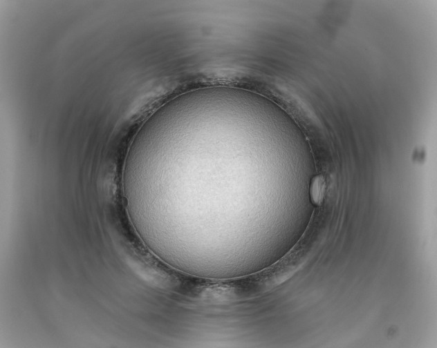 X0000091690599200709061127