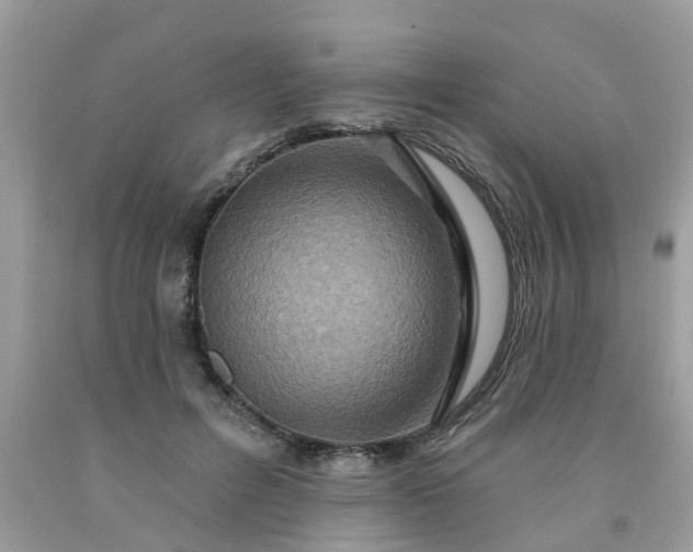 X0000091690600200709061127