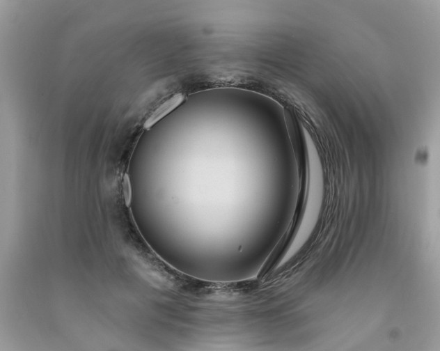 X0000091690601200709061127