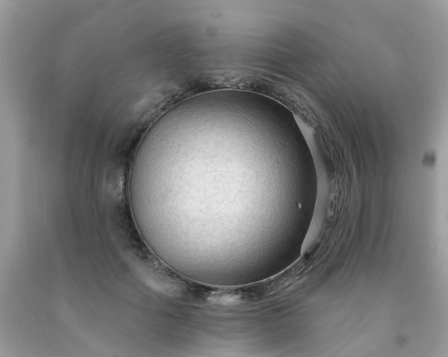 X0000091690602200709061127