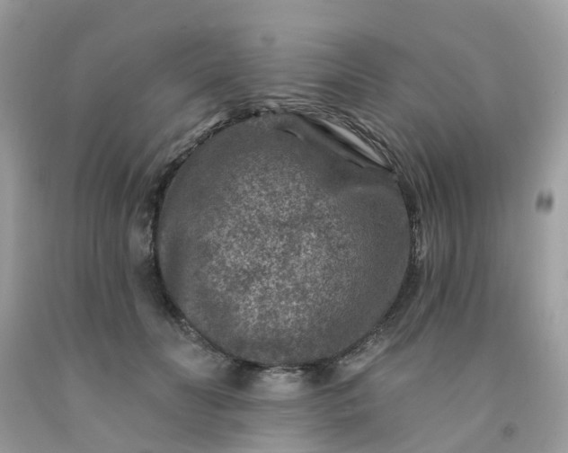 X0000091690606200709061127