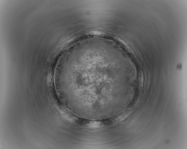 X0000091690609200709061126