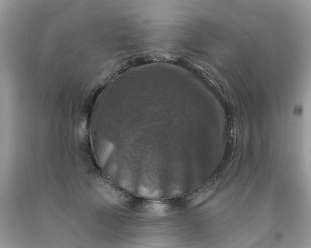 X0000091690610200709061126