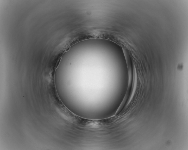 X0000091690611200709061126