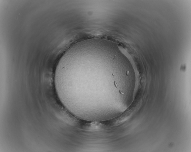 X0000091690612200709061126