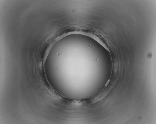 X0000091690613200709061126