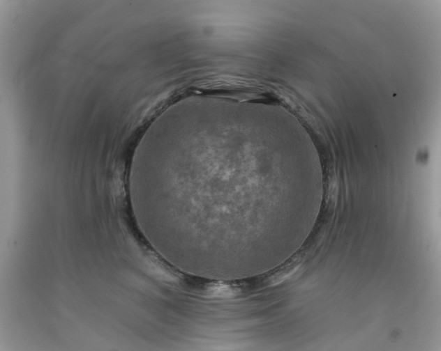 X0000091690616200709061126