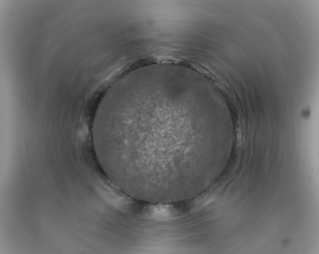 X0000091690618200709061126