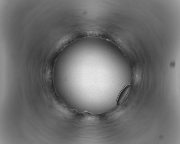 X0000091690619200709061126