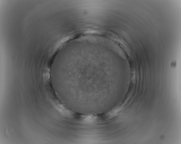 X0000091690621200709061126