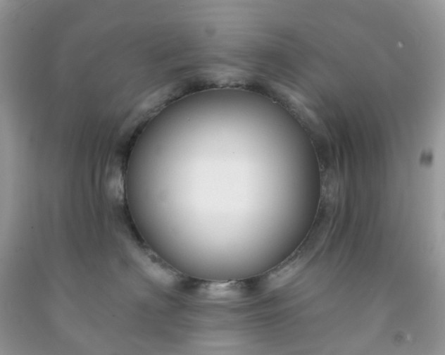 X0000091690622200709061126