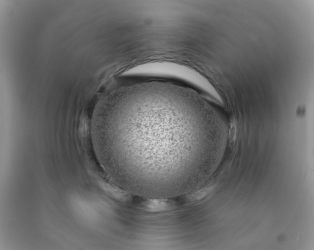 X0000091690623200709061126