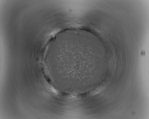 X0000091690624200709061126