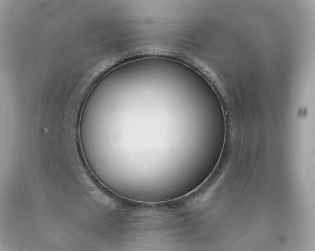 X0000091690625200709061126