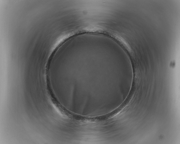 X0000091690626200709061126