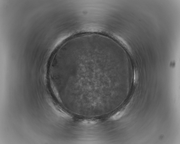 X0000091690627200709061126