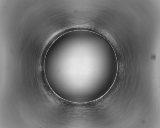 X0000091690628200709061126