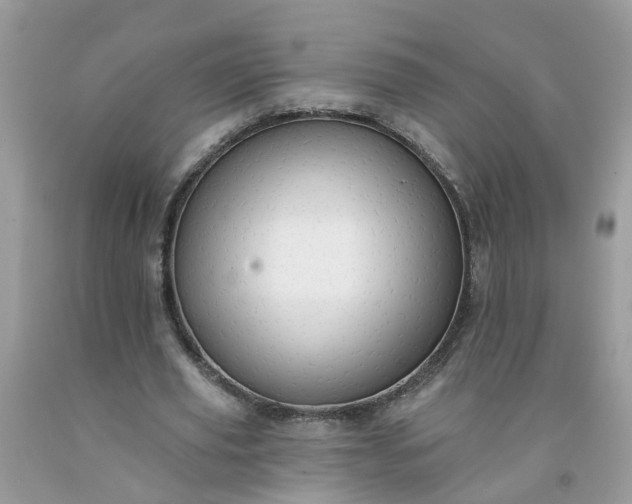 X0000091690629200709061126