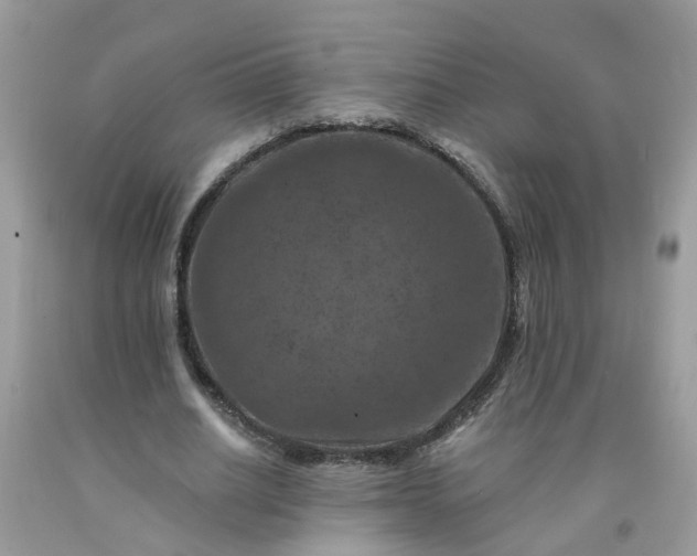 X0000091690630200709061126