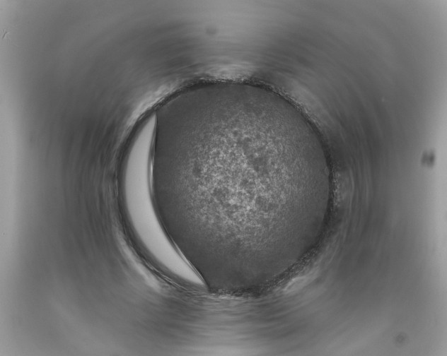 X0000091690634200709061126