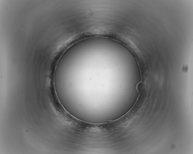 X0000091690635200709061126