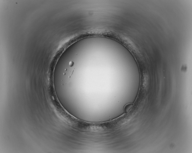 X0000091690636200709061126