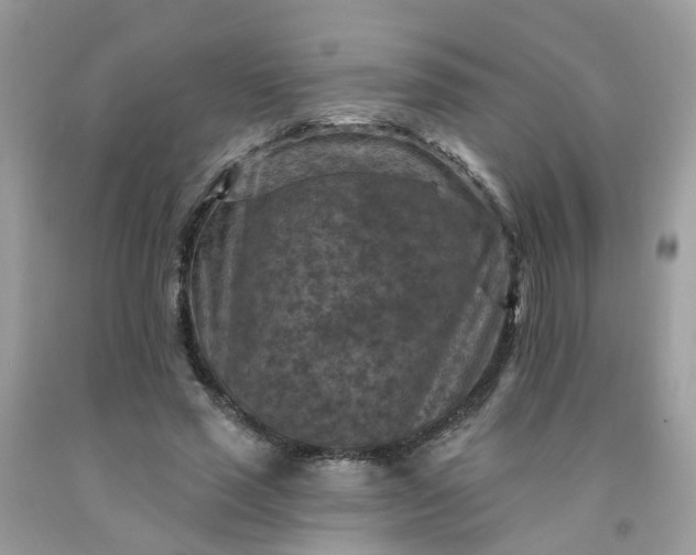 X0000091690637200709061126