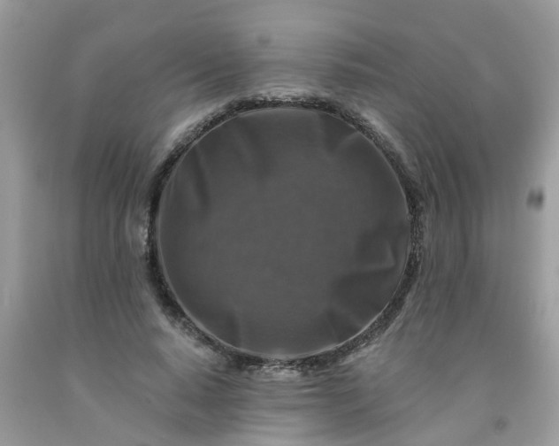 X0000091690640200709061126