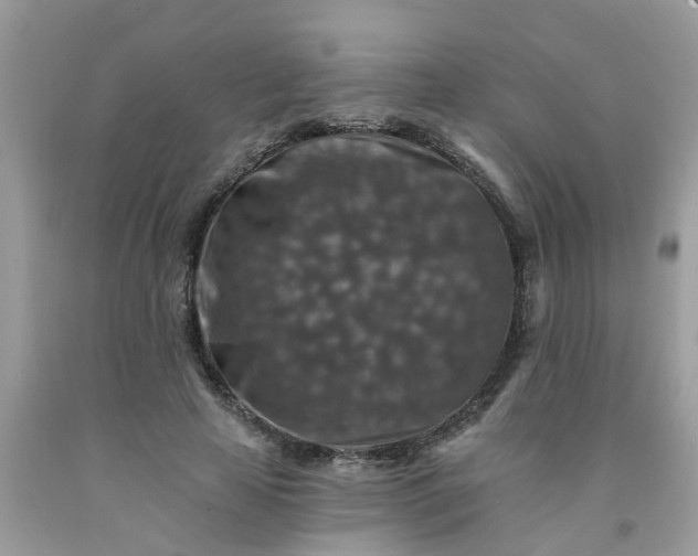 X0000091690641200709061126