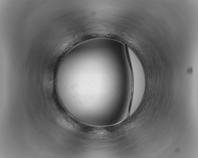 X0000091690642200709061126