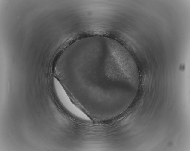 X0000091690643200709061126