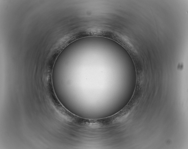 X0000091690645200709061126