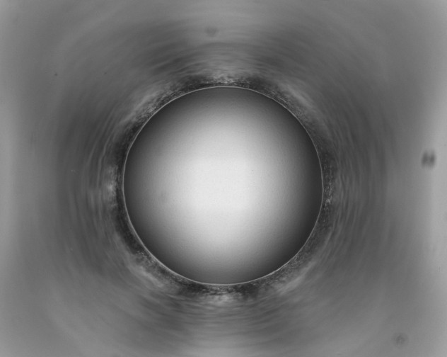 X0000091690646200709061126