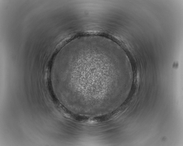 X0000091690647200709061126