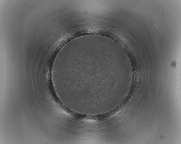 X0000091690648200709061126