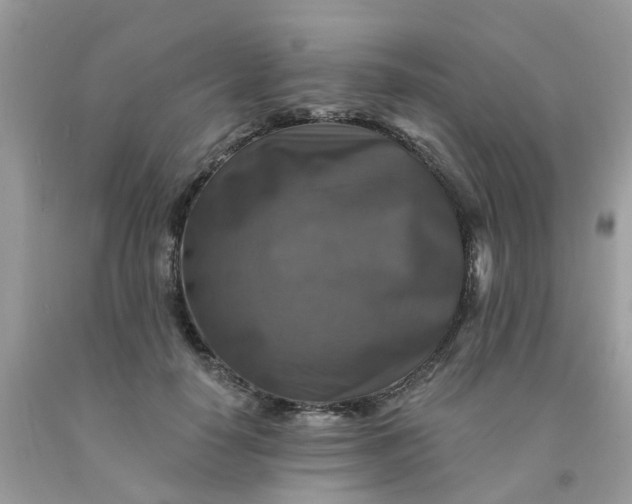 X0000091690650200709061126