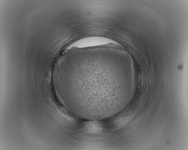 X0000091690652200709061126