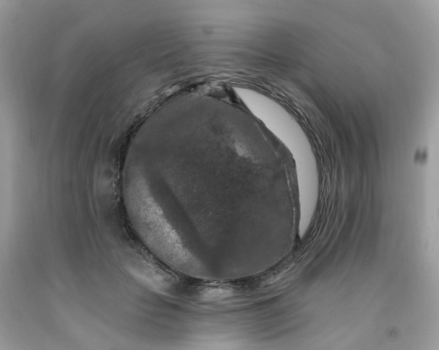 X0000091690653200709061126