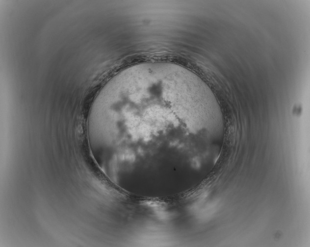 X0000091690654200709061126